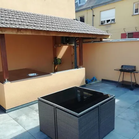 Maison / Complete A 5 Minutes De Colmar 別荘 インガースハイム